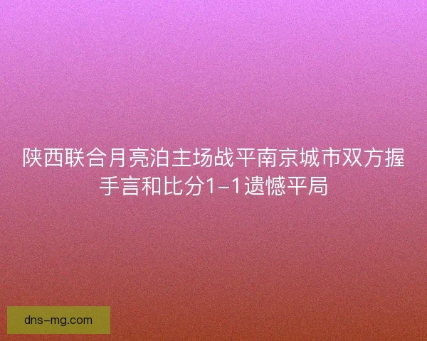 陕西联合月亮泊主场战平南京城市双方握手言和比分1-1遗憾平局